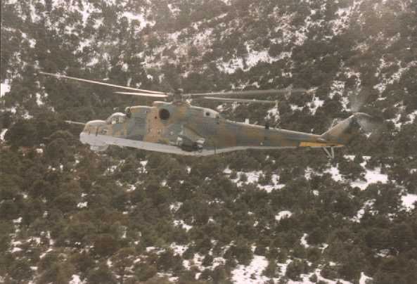 Hind Gunship