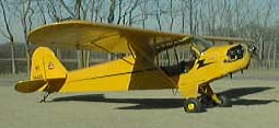 piper cub